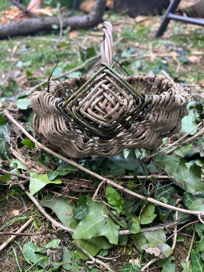 ריטריט קליעה סולסטיס