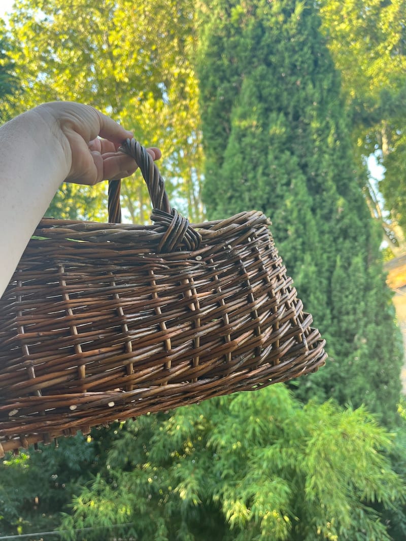 ריטריט קליעה ירח תמוז