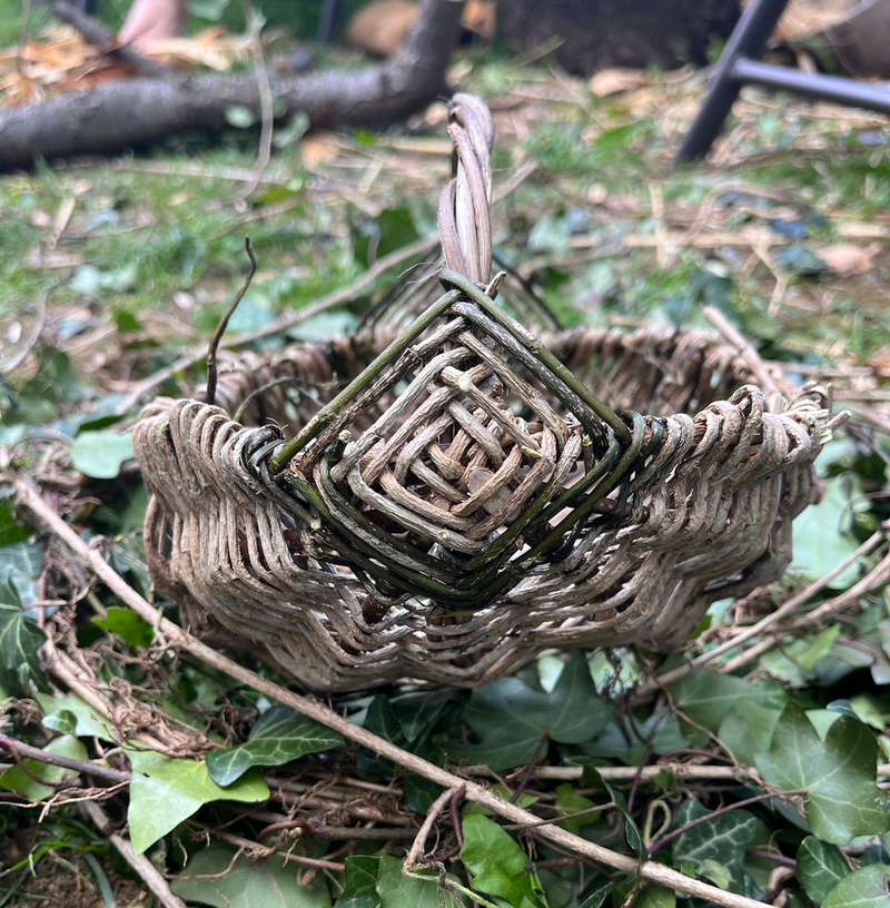 ריטריט קליעה סולסטיס