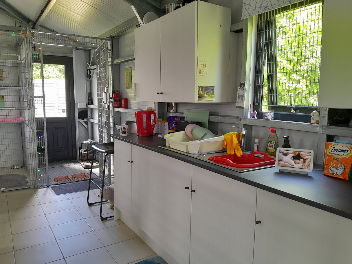 Kitchen area across from the suites