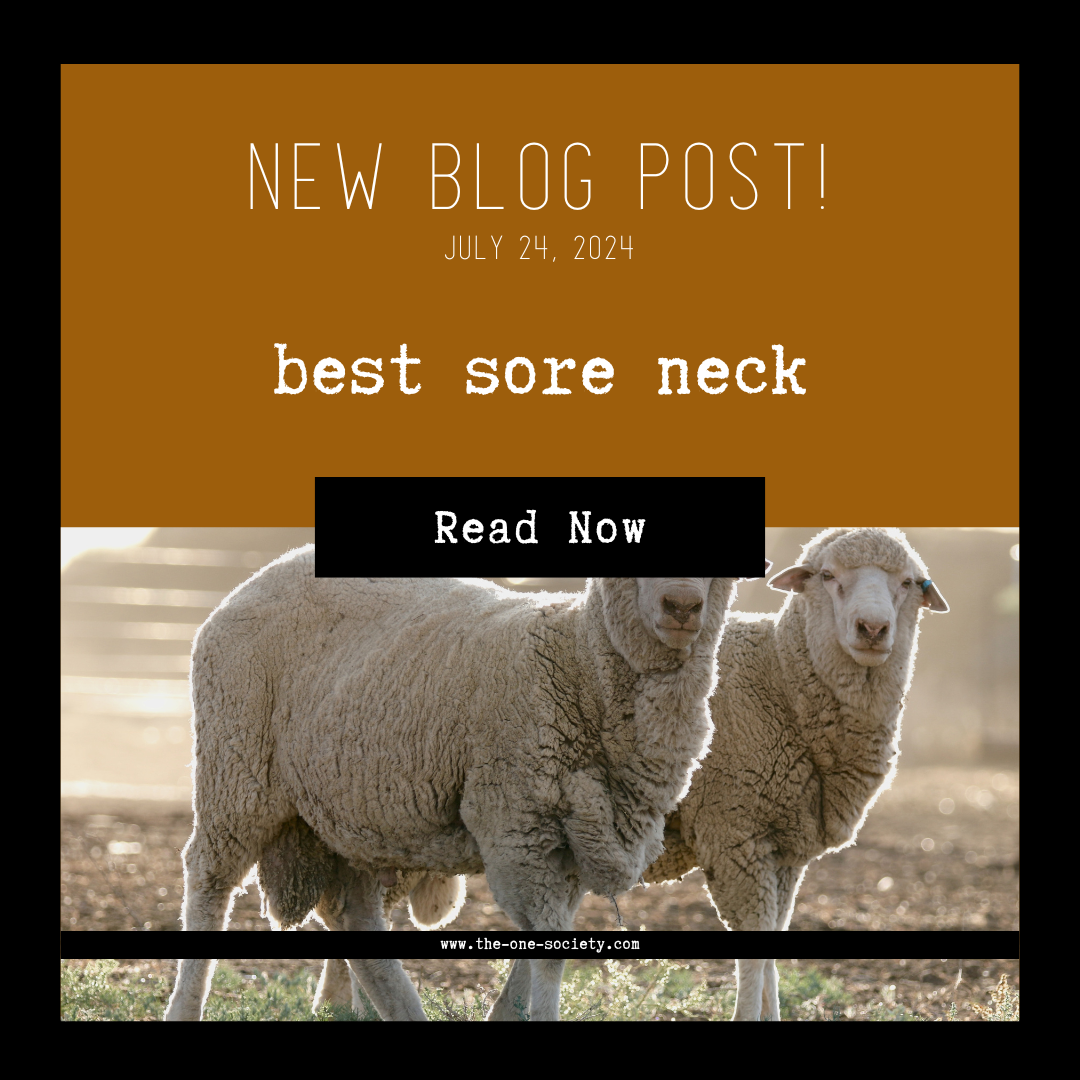 best sore neck