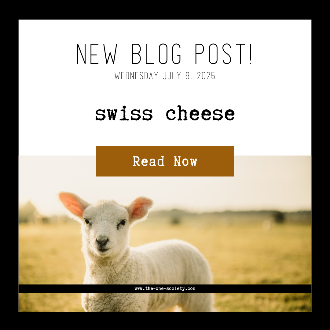 swiss cheese