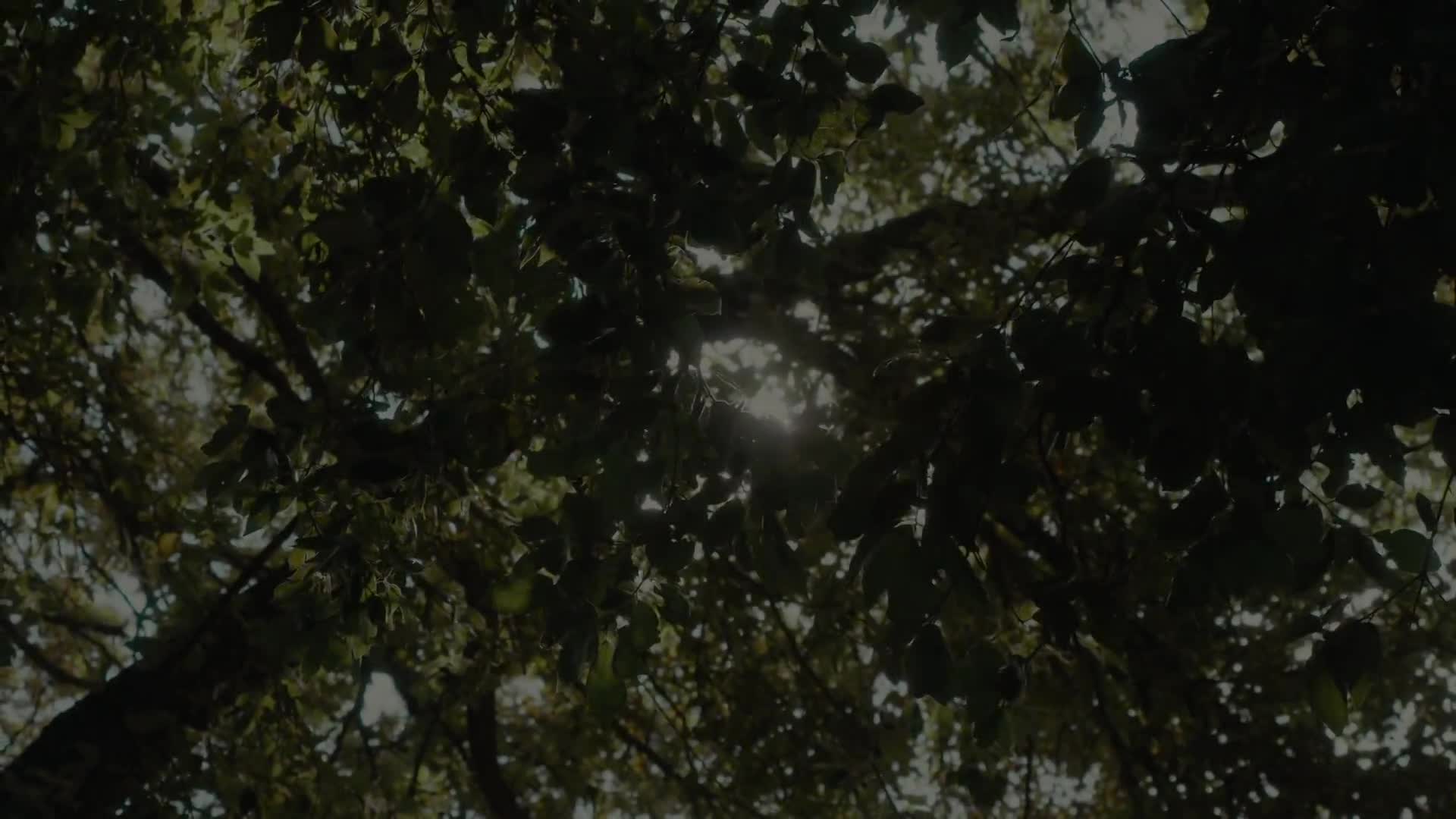 DOCUMENTARY (2026) - Cammini?