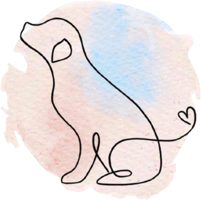 SERVIZI