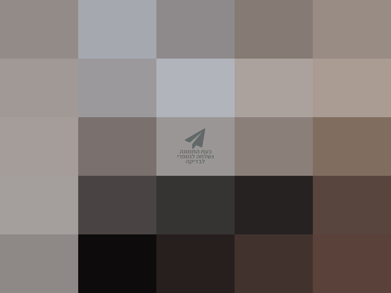 מגוון מוצרים