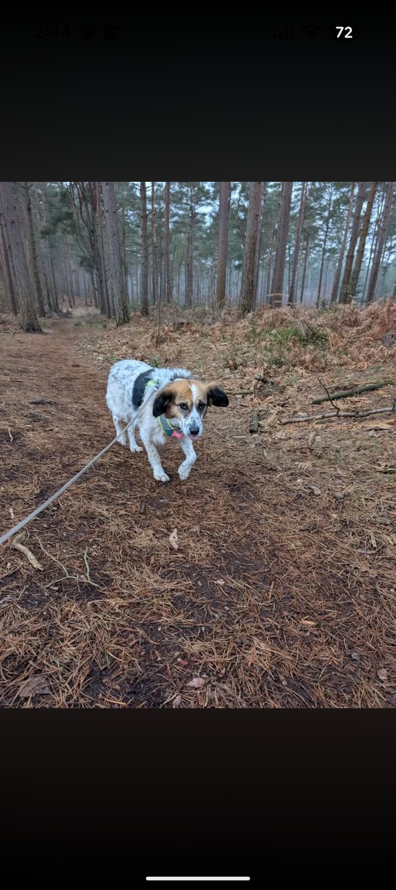 Solo walks