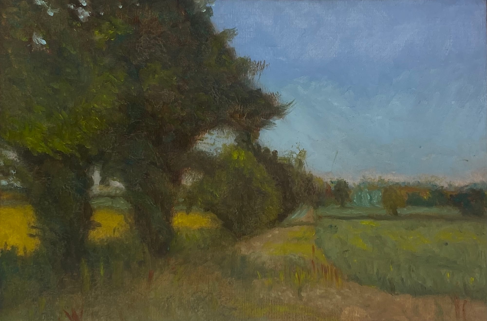 Landscape