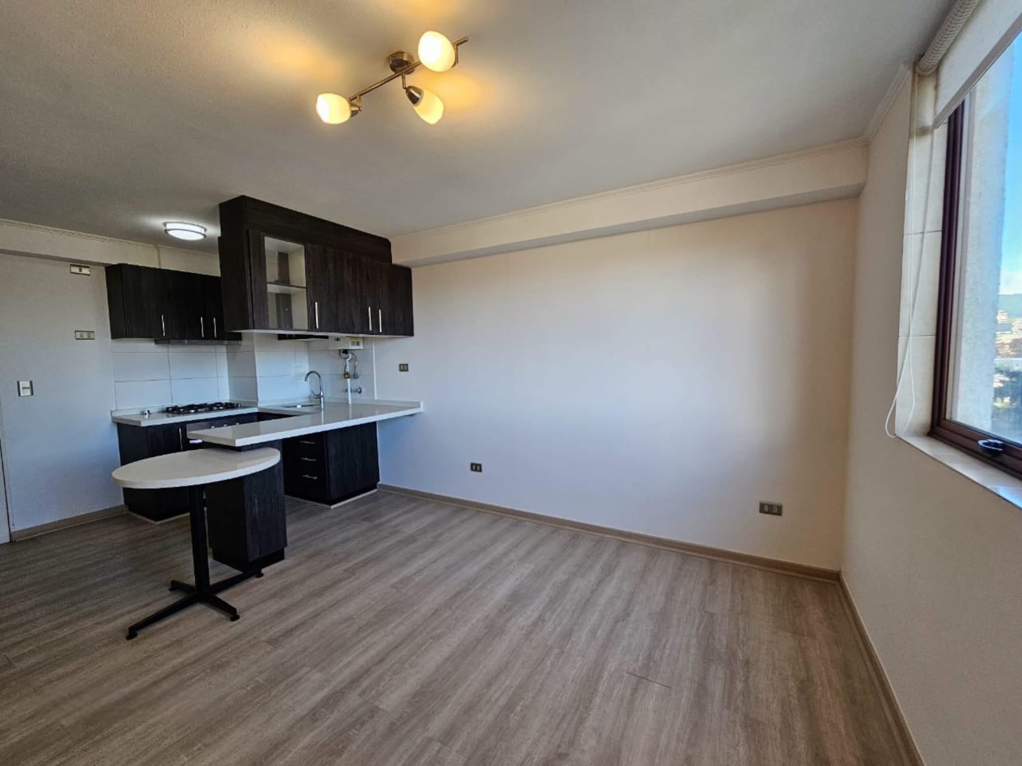 Departamento en venta en Las Heras / Lautaro en Concepción.