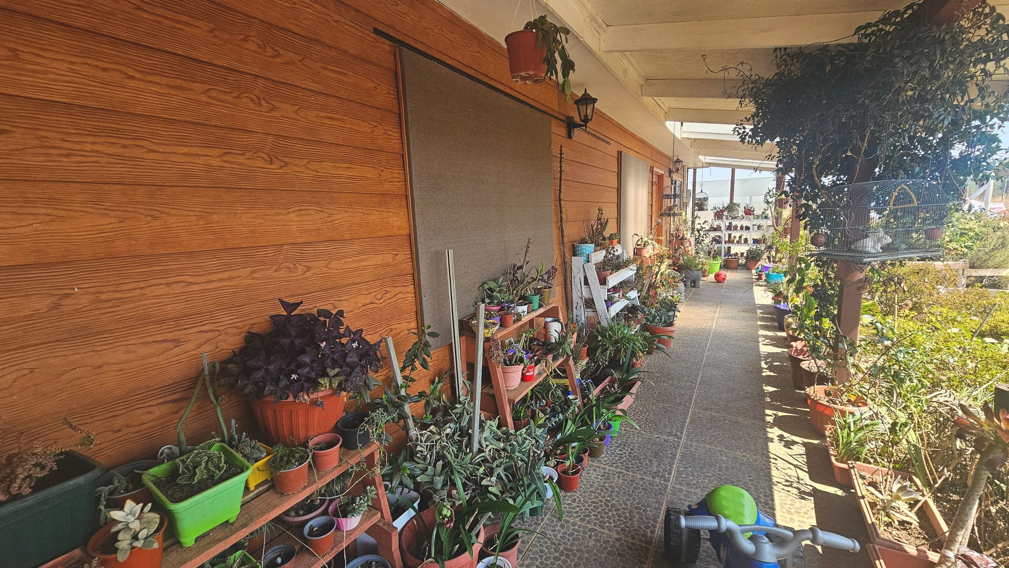 🌿 Vende Hermosa Parcela en Florida, Región del Biobío