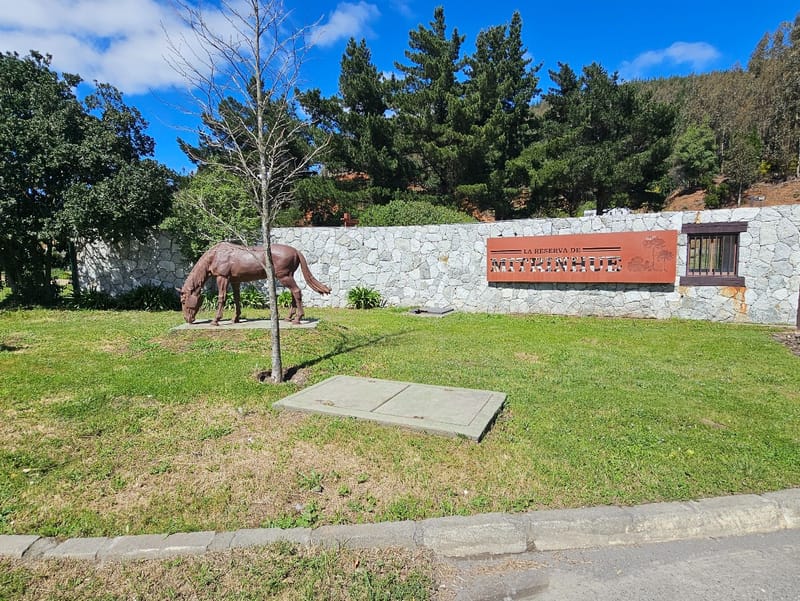 🏡 Vende Terreno en Condominio La Reserva de Mitrinhue