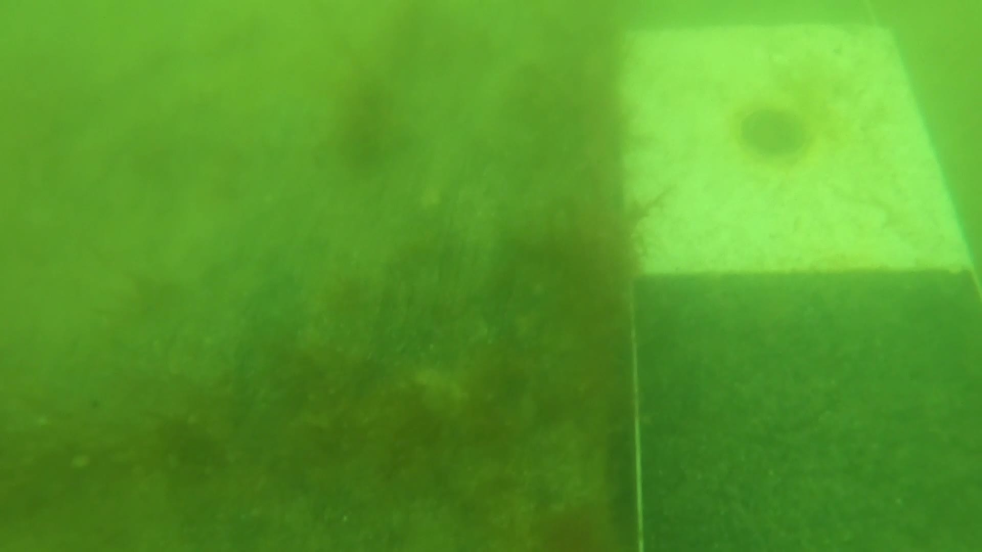 EPAVA LEMN COSTINESTI