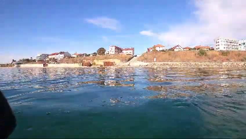 EPAVA LEMN COSTINESTI