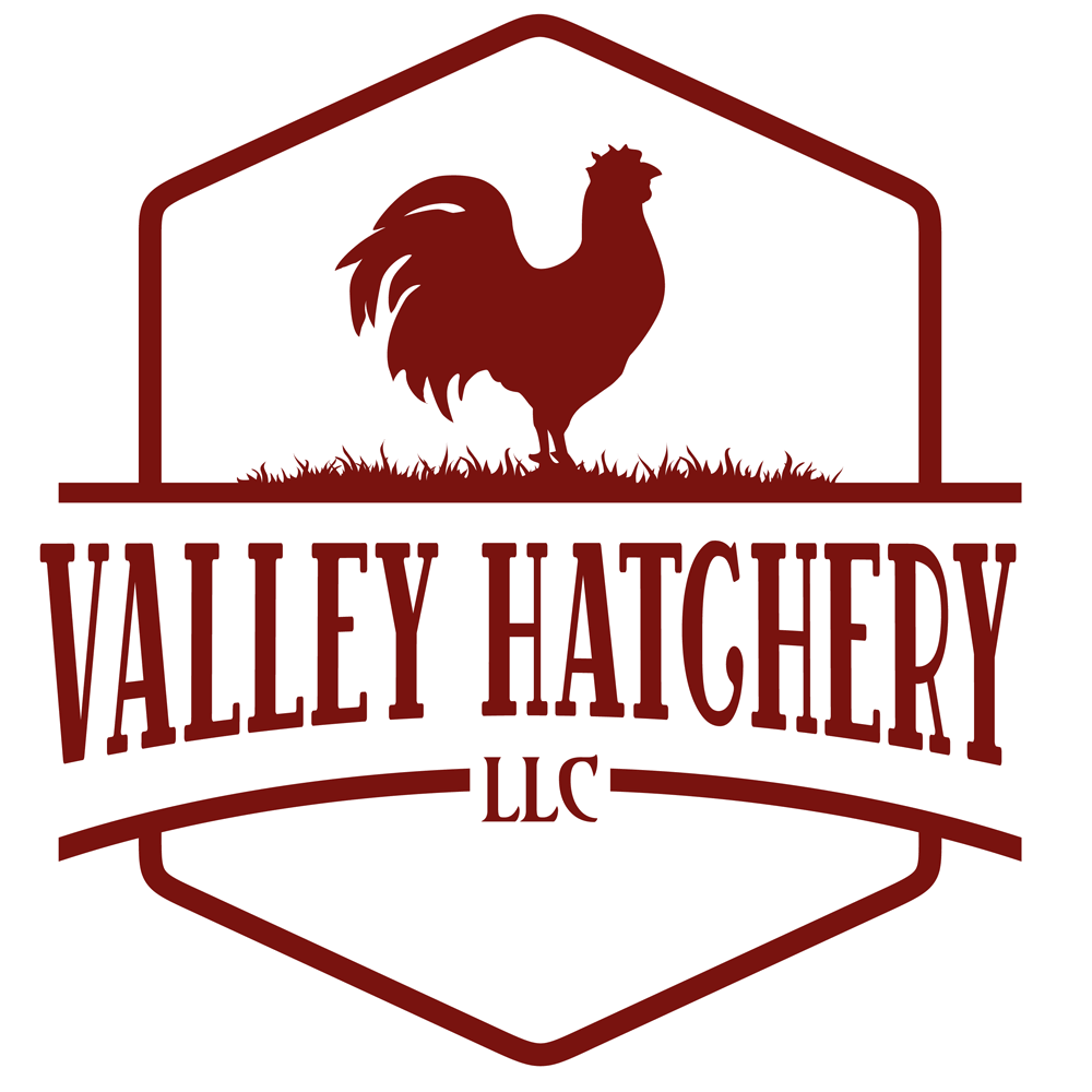 Valley Hatchery - Specializing in raising, hatching and shipping High Quality Poultry with an extensive offering. Including 5 types, 70 breeds & 175 varieties of poultry.