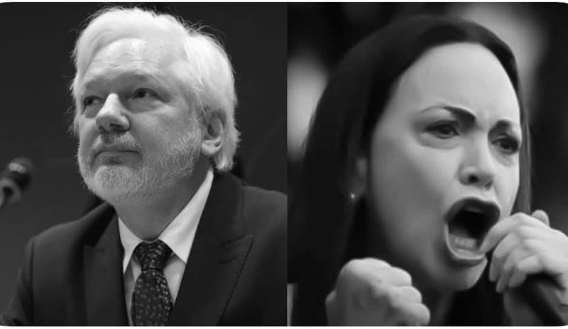 ASSANGE DENUNCIA LA FUNDACIÓN NOBEL POR CONVERTIR EL PREMIO DE LA PAZ EN “INSTRUMENTO DE GUERRA”