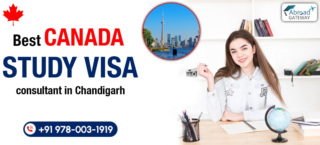 Best Immigration Consultant in Chandigarh