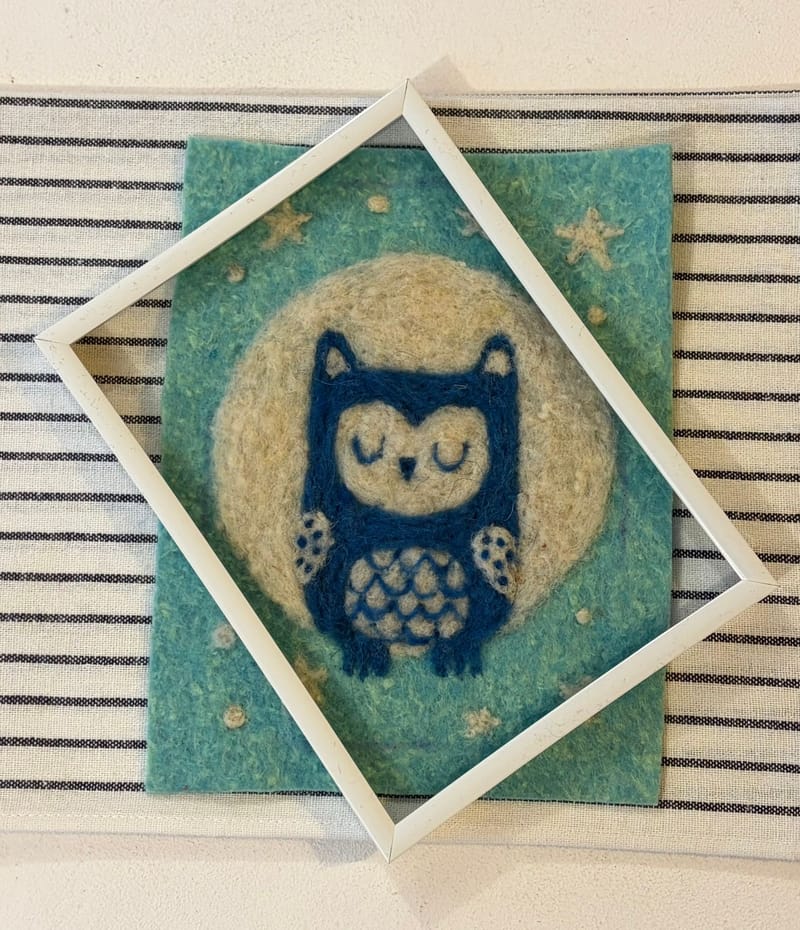 Jason Ruddy & Catherine McDald: The Moon Owl - Colours by Ralu