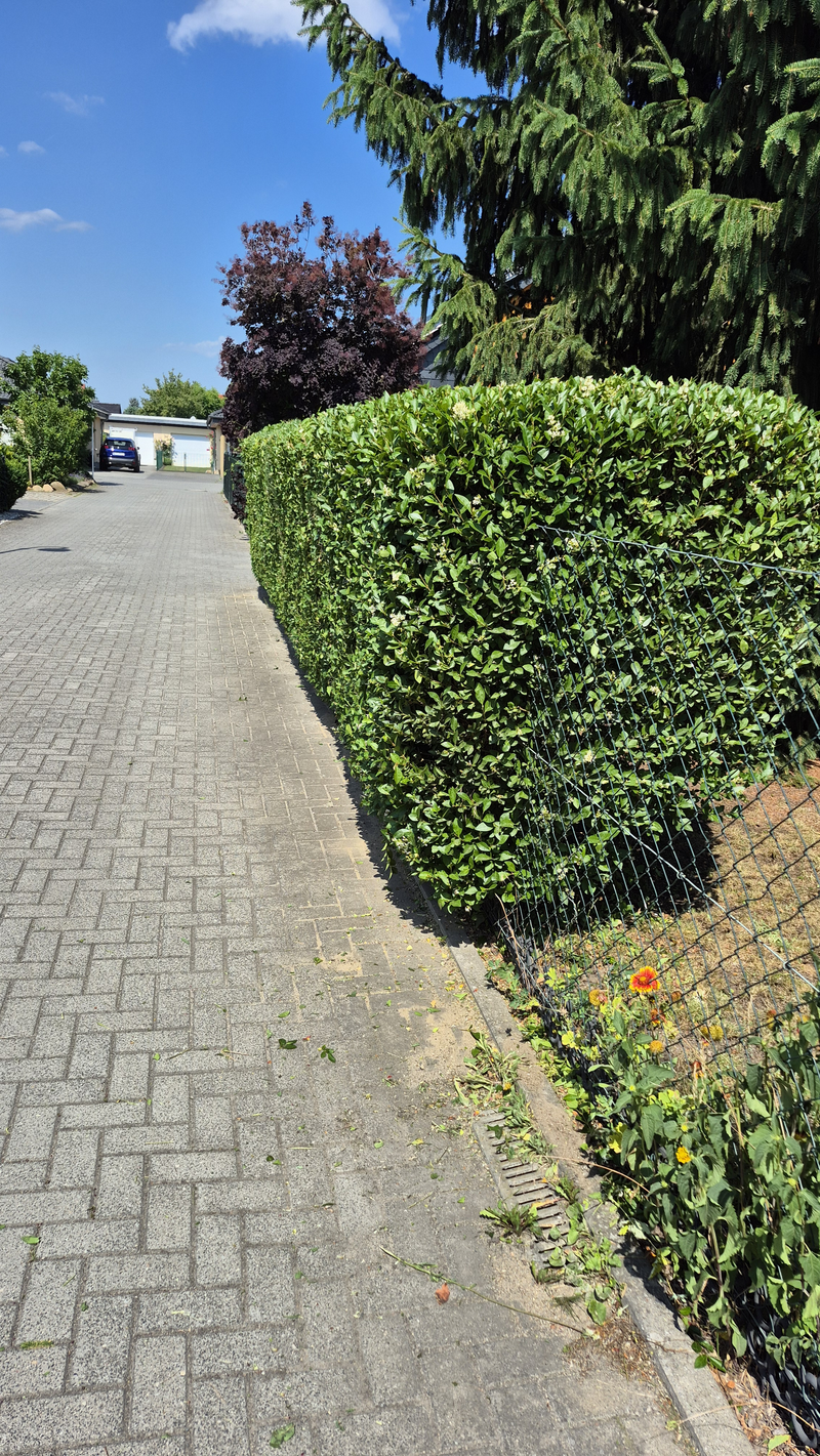 Das Garten- &amp; Grundstücks-Abo