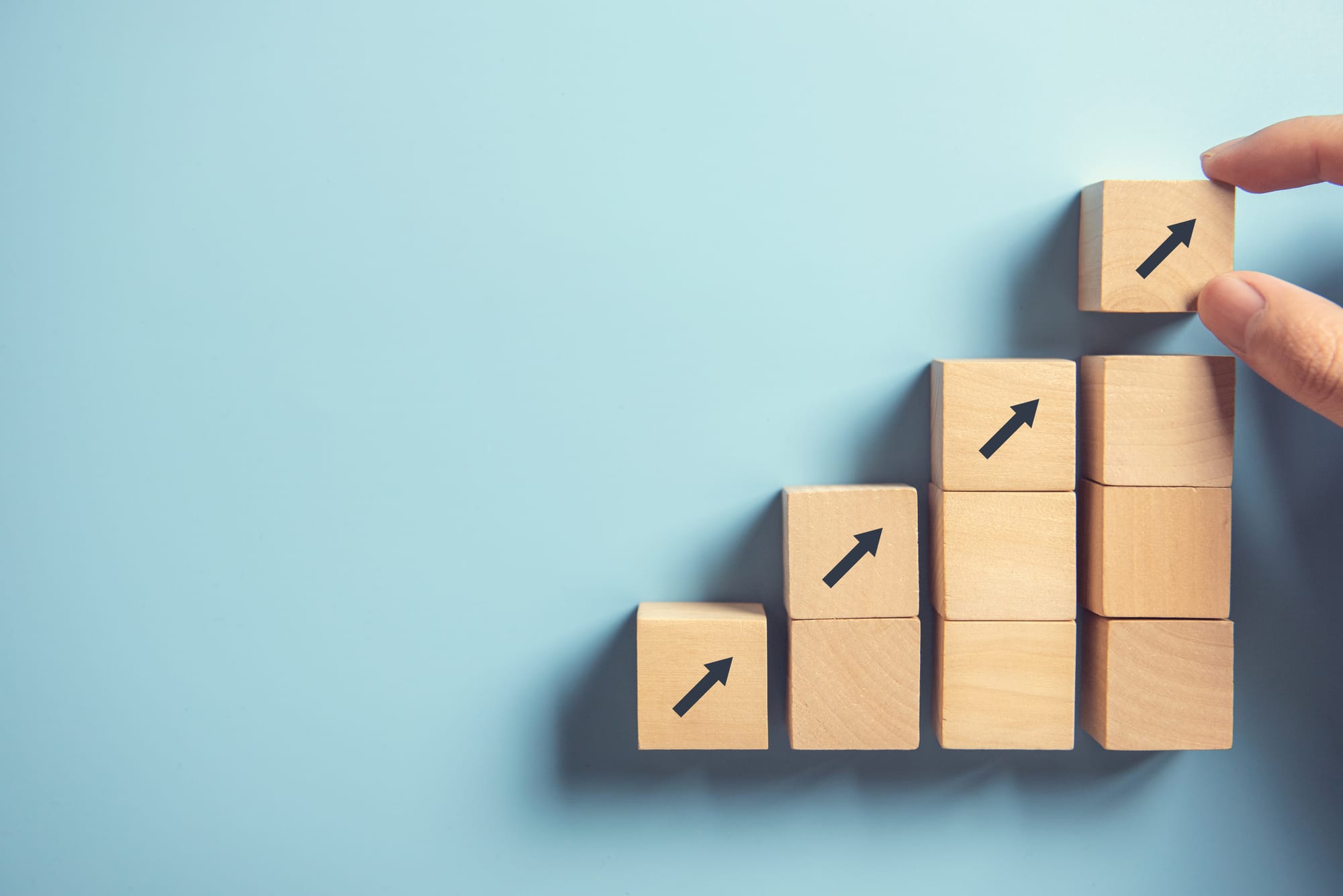Business growth and objectives
