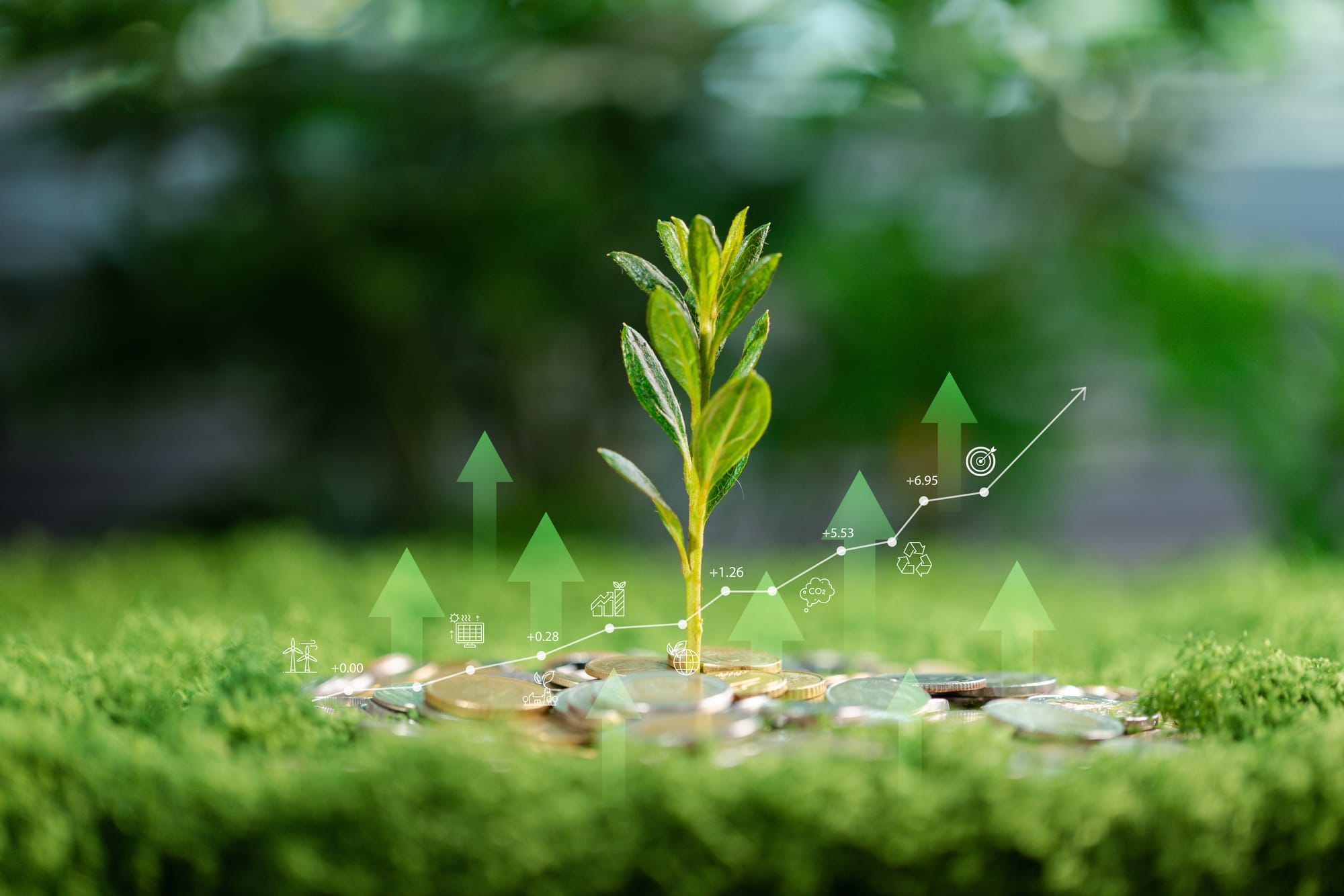 Emerging currencies