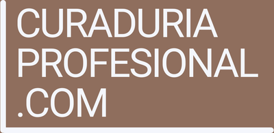 curaduriaprofesional.com