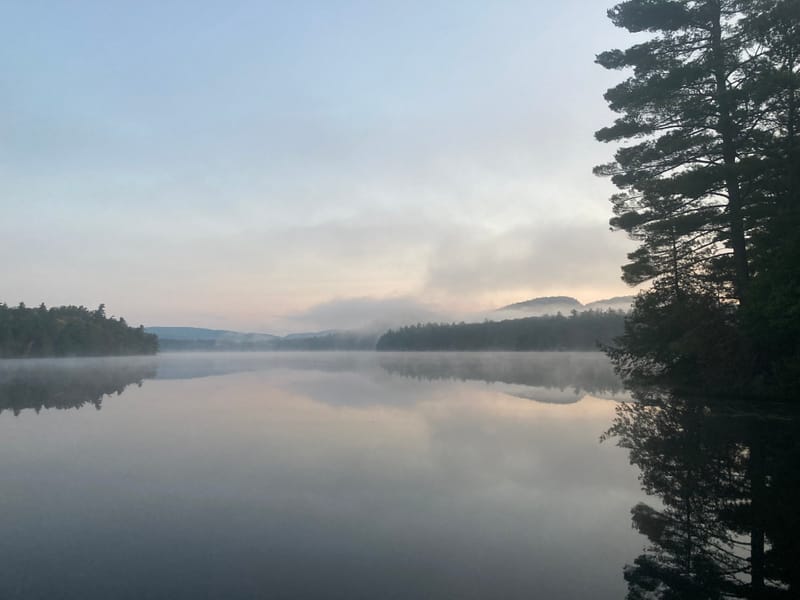 2025 Holiday Newsletter