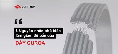 8 Nguyên Nhân Phổ Biến Làm Giảm Độ Bền Của Dây Curoa