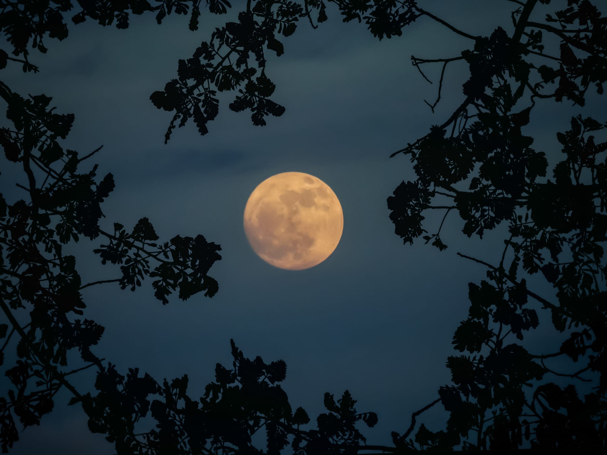¿Cómo es tener la Luna en Capricornio? Claves para cuando hay lunación en tu signo