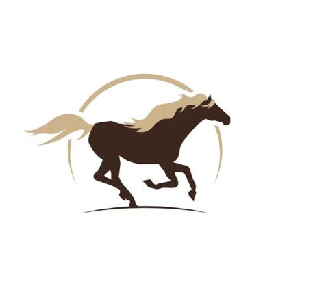 Hufbearbeitung Pony/Esel bis 1,20