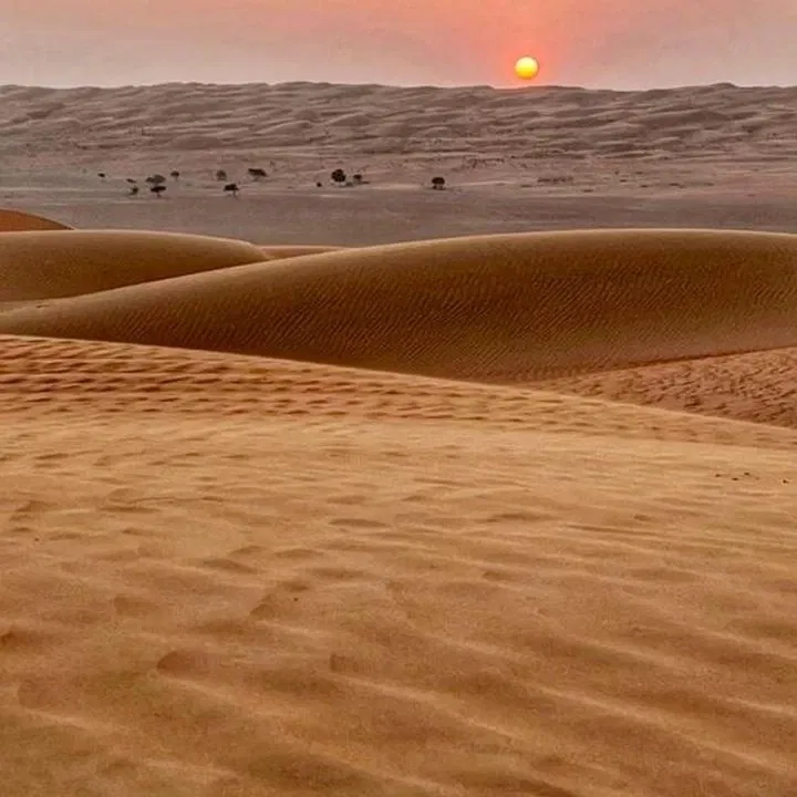 Sunset Horseback Safari
