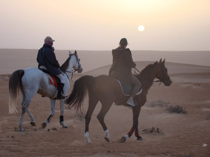 Wahiba desert crossing