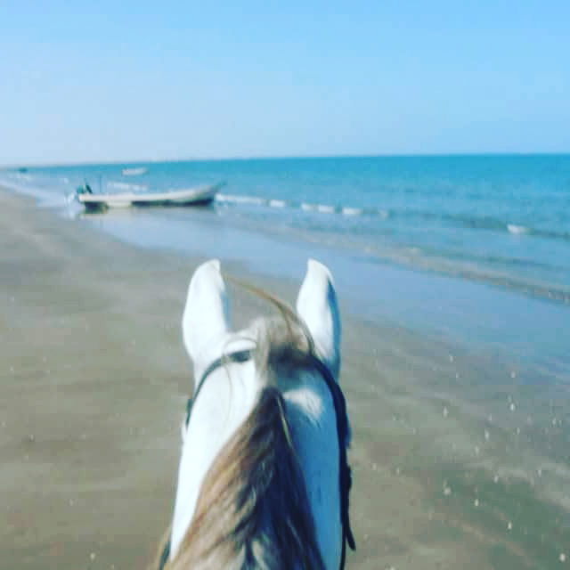 2 hours sea ride in Barka