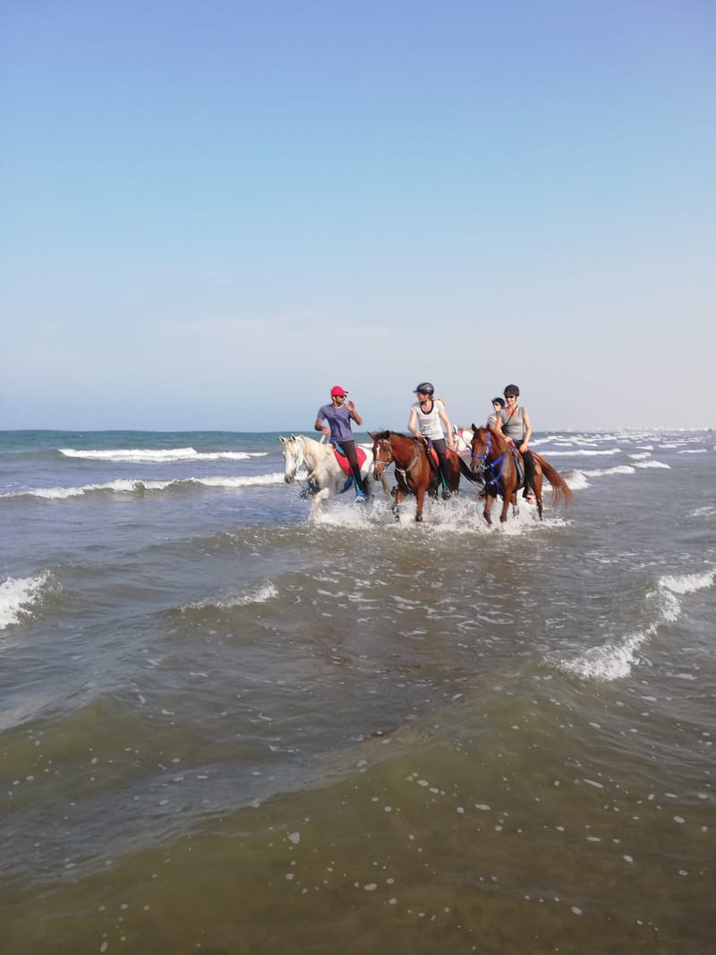 Sindibad sea ride