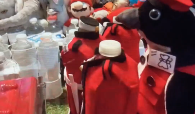 King Christmas Wawa Embarks to Illinios in November