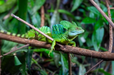 CHOISIR LES BONS PARAMETRES POUR LES DIFFERENTES FORMES DE VIES ACCUEILLIES