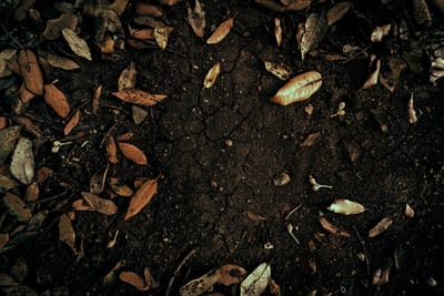 L'ENTRETIEN DE NOS SUBSTRATS