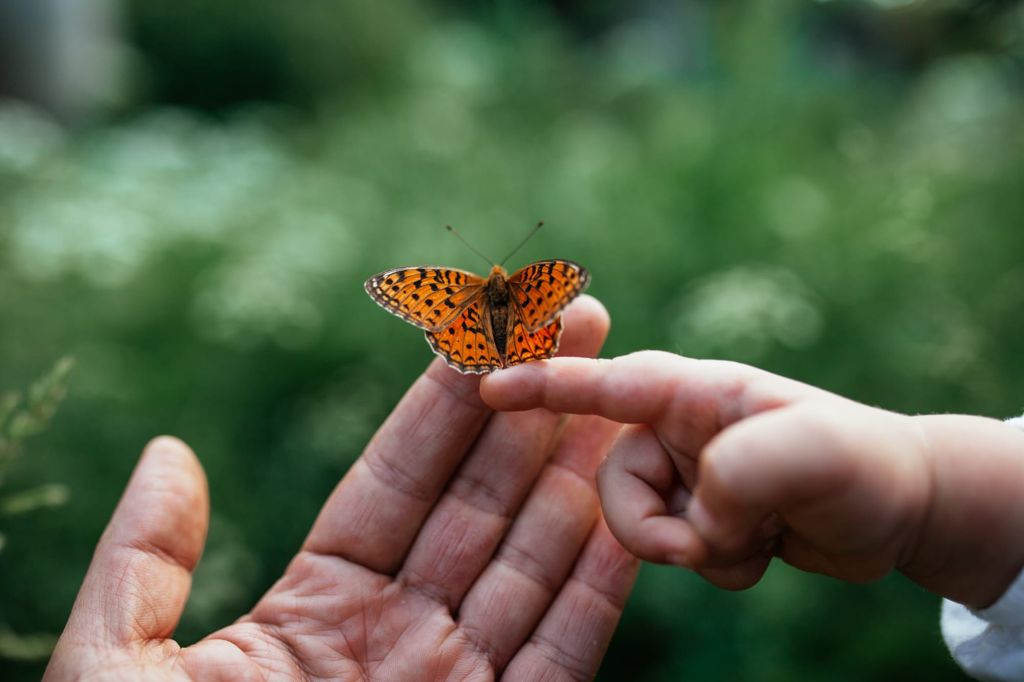 Mindfulness - resources