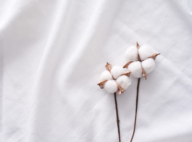 "The Cotton Betrayal" Revolution: Véloise™ Polylactic Acid × Cotton Blended Fabric Solution