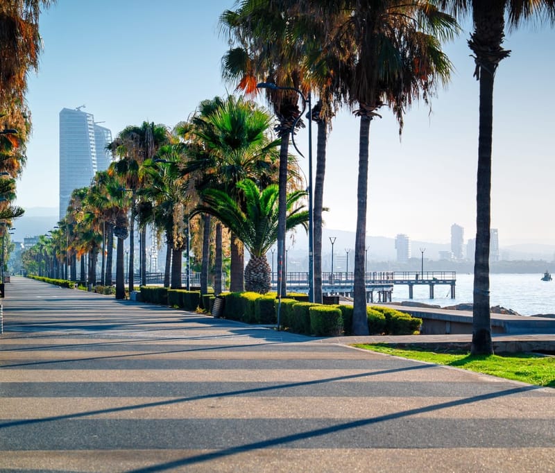 תשואה וביקוש להשכרה בלימסול