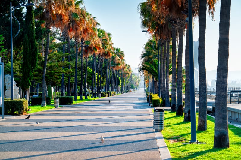 לימסול- פיתוח, חינוך ואיכות חיים