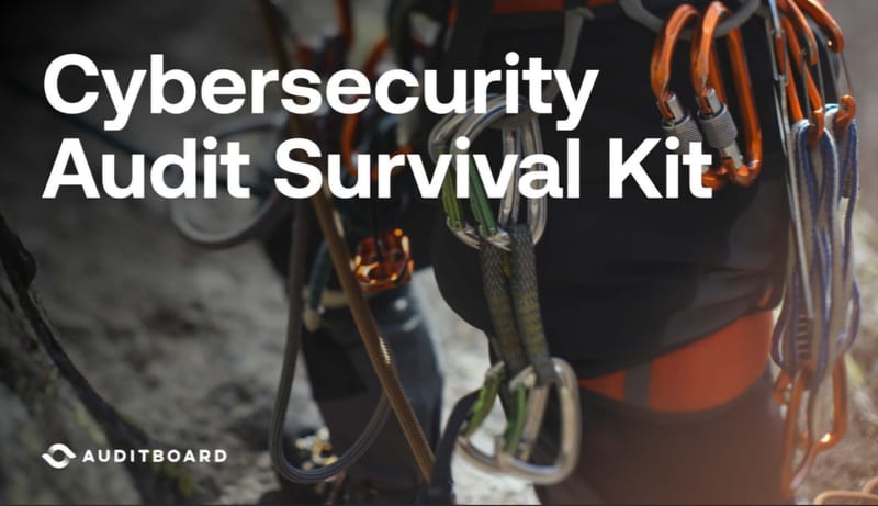Cybersecurity Audit Survival Kit