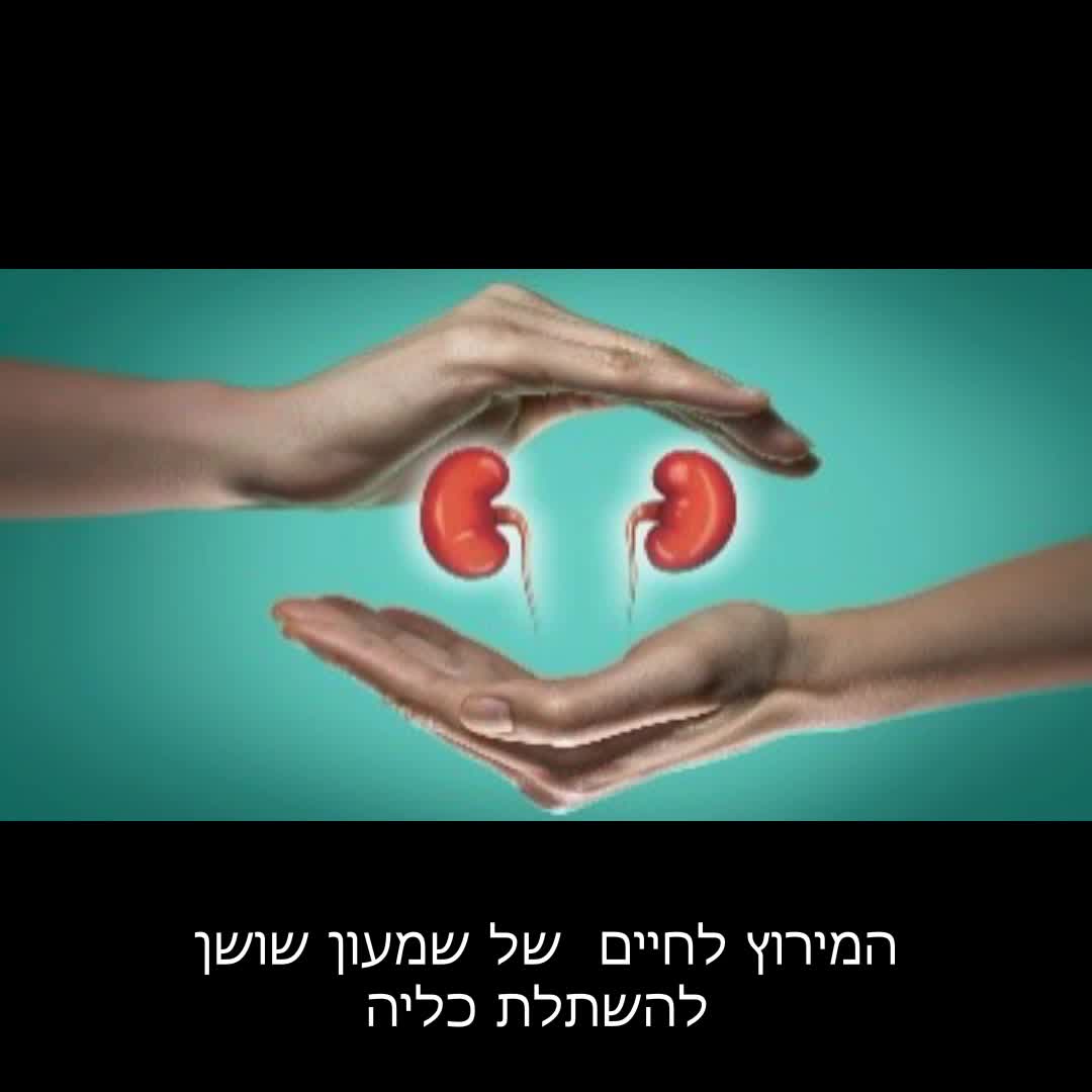 המסע של שמעון שושן להשתלה thumbnail