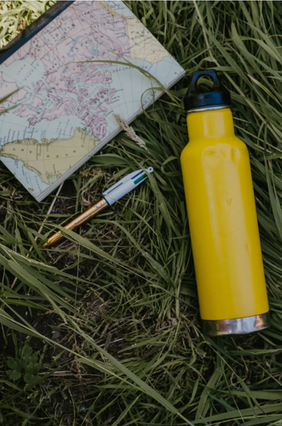 SUR LA VOIE DE LA SANTÉ HOLISTIQUE