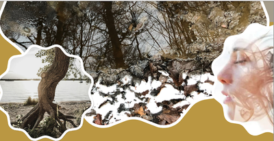 Retrouver son “OR”