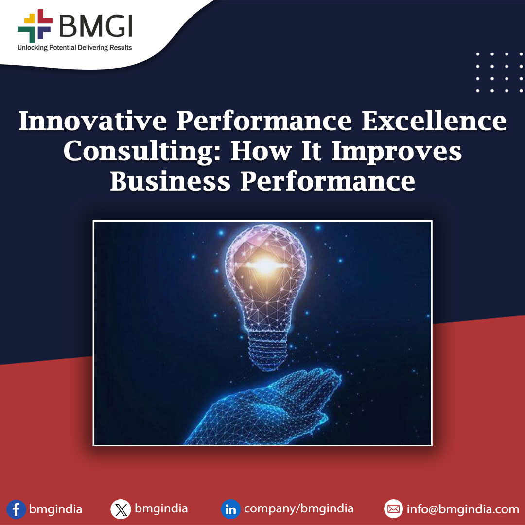 Innovative performance excellence consulting