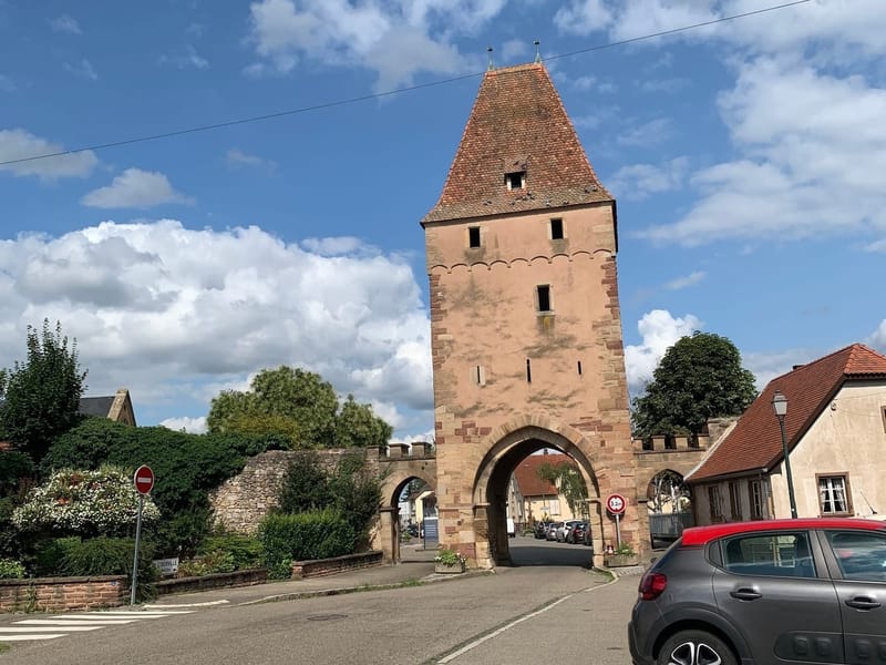Stage 51: dossenheim sur zinsel / Le Hohwald 🌲