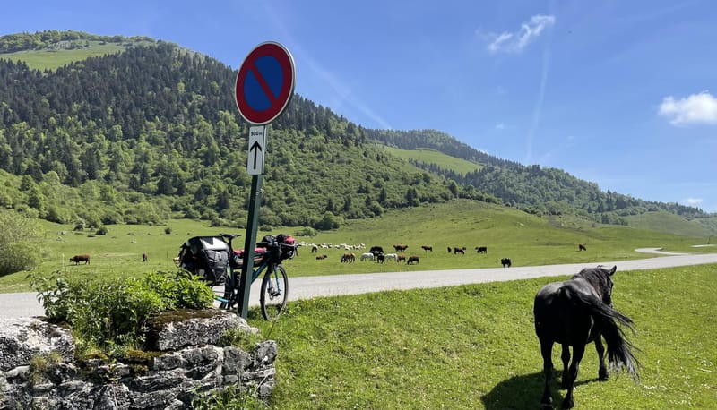 The tour 2025 / jour 16: Arette / marsous