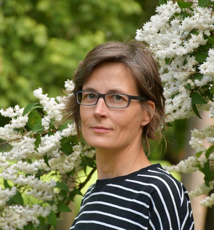 Harkányi Judit