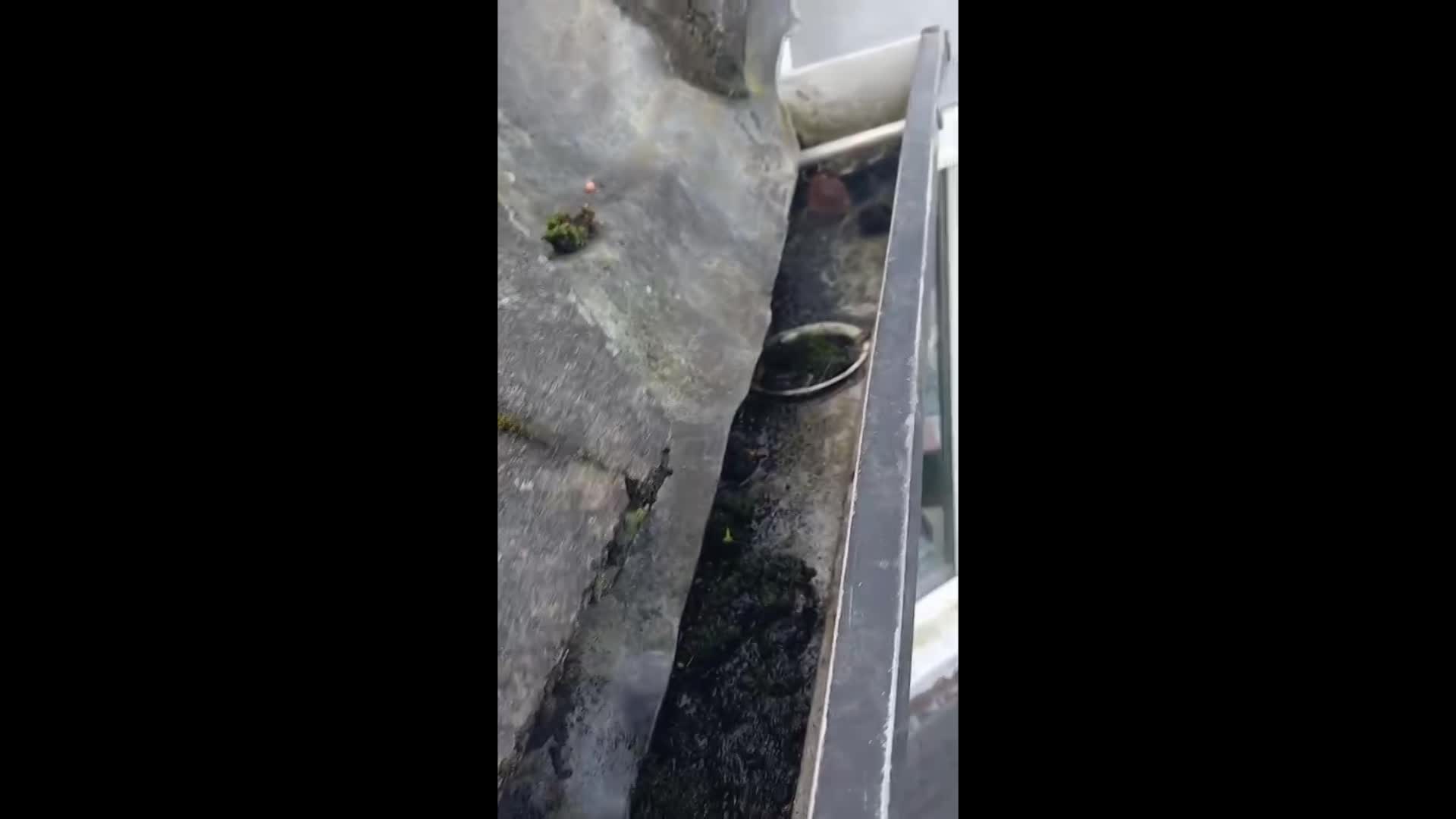 Gutter Unblocking & Cleaning Galway