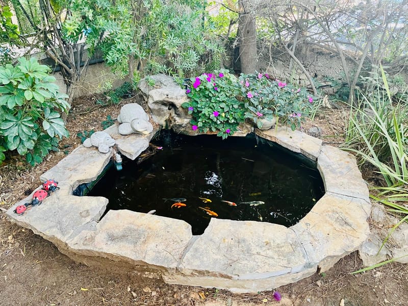 תשליך - לימוד ותרגול יצירתי בסוד י״ג מידות הרחמים