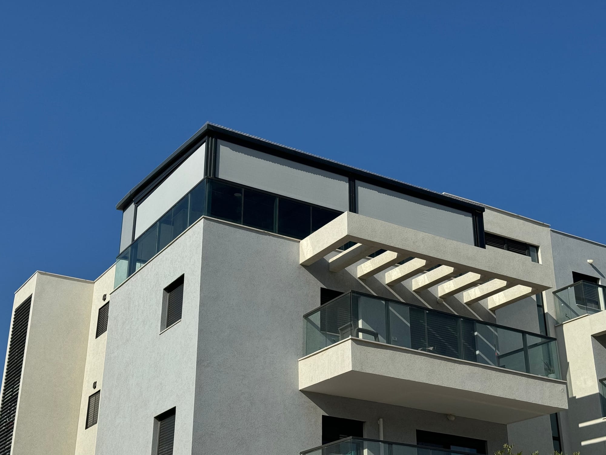 תמונות נבחרות